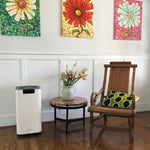 Load image into Gallery viewer, Soleus Air High Capacity 6-Stage Filtration Air Purifier with Wi-Fi
