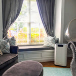 Load image into Gallery viewer, Soleus Air High Capacity 6-Stage Filtration Air Purifier with Wi-Fi
