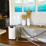 Load image into Gallery viewer, Soleus Air Whole Home Air Purifier
